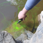 Flash'UP MÛRE / CASSIS – Image 2