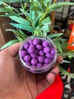 Pop-ups MÛRE/CASSIS – Image 2