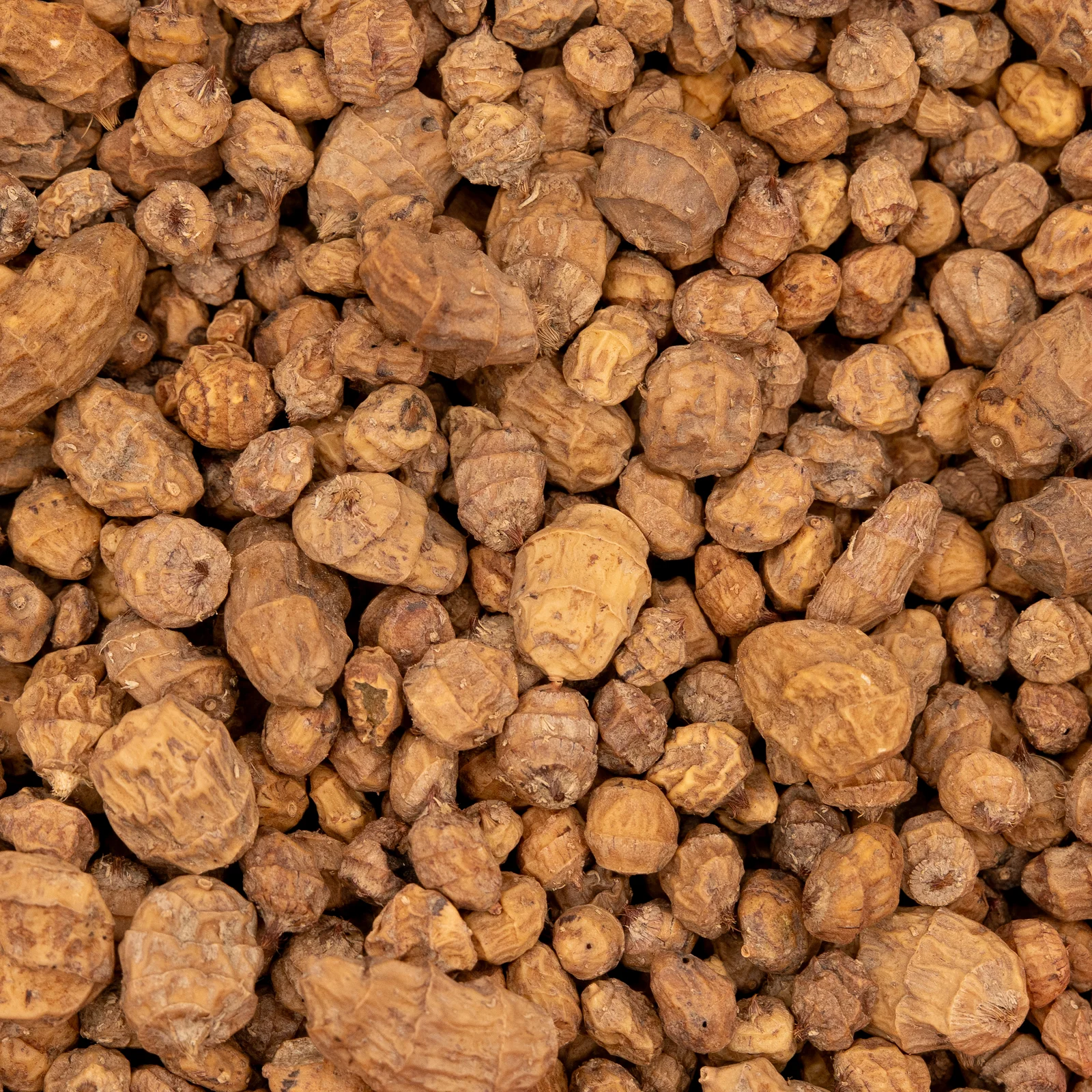 DSC09736 (1) Tigernuts Mix (6 à 25 mm) BRUTES en VRAC – Image 1