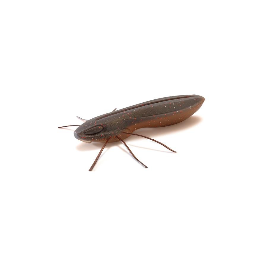 bg_c-27-scaled_93331 Leurre Souple Nays Bg 2.0 - 5.1Cm - Par 6 – Image 1