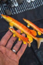 Leurre Souple Fox Rage Ultra Realistic Replicant Pike Golden Pike – Image 4