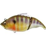 Leurre Flottant Madness Balam 245 - 24.5Cm – Image 25