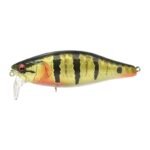 Leurre Flottant Madness Balam 245 - 24.5Cm – Image 52