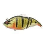 Leurre Flottant Madness Balam 245 - 24.5Cm – Image 32