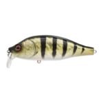 Leurre Flottant Madness Balam 245 - 24.5Cm – Image 20