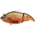 Leurre Flottant Madness Balam 245 - 24.5Cm – Image 26