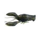 Leurre Flottant Madness Balam 245 - 24.5Cm – Image 36